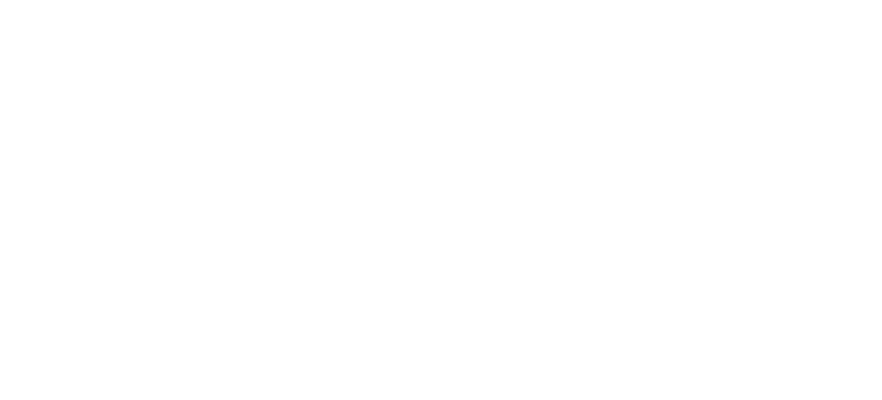 Twin Moon Studio